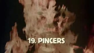 Episode 19 Pincers: August 1944-March 1945