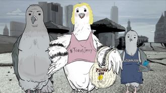 Episode 2 Pigeons