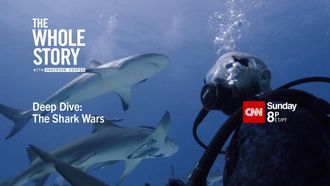 Episode 19 Deep Dive: The Shark Wars