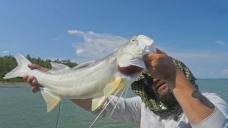 Episode 6 Tacos & Tarpon - Mexico