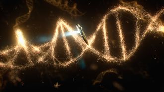 Episode 2 Some of the Things That Molecules Do