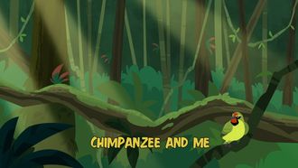 Episode 11 Chimpanzee and Me