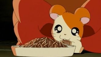 Episode 24 Hamtaro, Please Come Home!