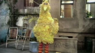 Episode 83 Big Bird Moves Birdseed to His Nest