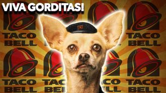 Episode 82 What Happened To The Taco Bell Chihuahua?