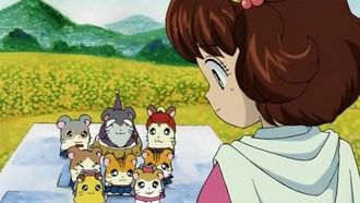 Episode 26 The Legend of the Courageous Hamtaro!