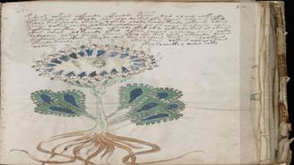 Episode 5 Alien Blood Rain, Carolina Beach Boom & Voynich Manuscript