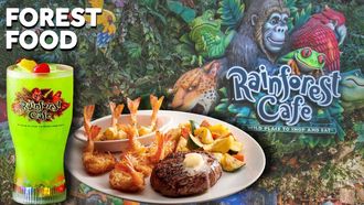 Episode 53 What REALLY Happened To The Rainforest Cafe?