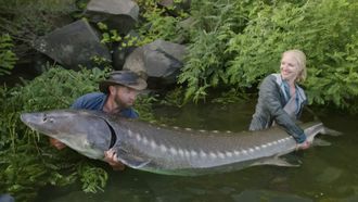 Episode 3 The Lake Chelan Dragon