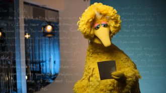 Episode 6 Big Bird