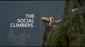 Episode 9 The Social Climbers