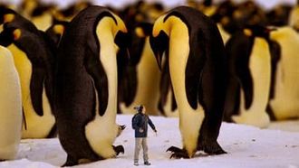 Episode 1 Emperor Penguins