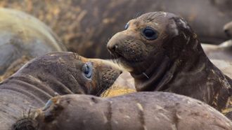 Episode 4 Monterey Bay National Marine Sanctuary, USA