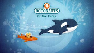 Episode 7 The Orcas