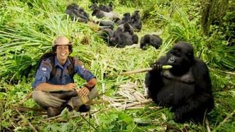 Episode 6 Mountain Gorillas