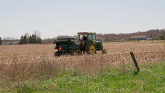 Episode 2 Hayfield of Dreams