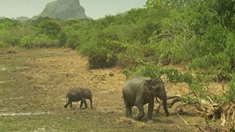 Episode 4 Sri Lanka: Monsoon Island