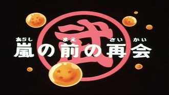 Episode 133 Arashi no mae no saikai