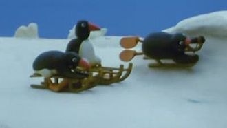 Episode 11 Pingu's Tobogganing