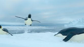 Episode 5 Southern Ocean