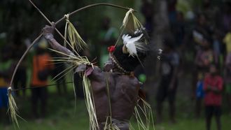 Episode 2 Papua New Guinea