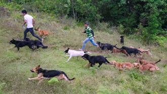 Episode 5 Territorio de Zaguates