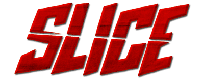 Slice logo