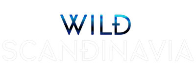 Wild Scandinavia logo