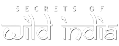 Secrets of Wild India logo