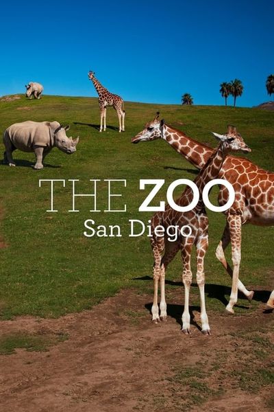 The Zoo: San Diego