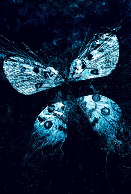 The Butterfly Effect 3: Revelations