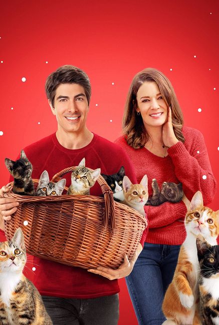 The Nine Kittens of Christmas