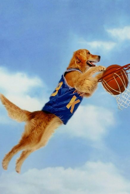 Air Bud