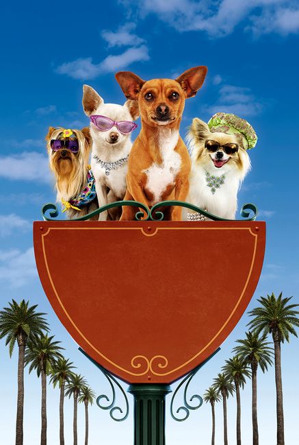 Beverly Hills Chihuahua