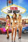 All American Bikini Car Wash