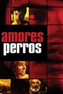 Amores Perros