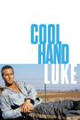 Cool Hand Luke