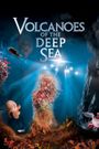 Volcanoes of the Deep Sea