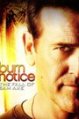 Burn Notice: The Fall of Sam Axe