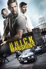 Brick Mansions