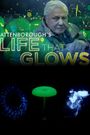 Attenborough's Life That Glows