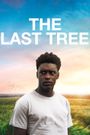 The Last Tree