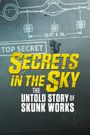 Secrets in the Sky: The Untold Story of Skunk Works