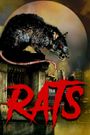 Killer Rats