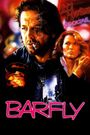 Barfly