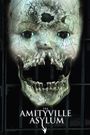 The Amityville Asylum