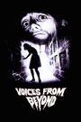 Voices from Beyond