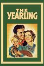 The Yearling