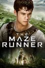 The Maze Runner