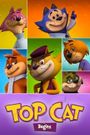 Top Cat Begins